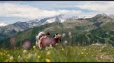 A Madonna di Campiglio l'estate prende il via tra natura e sport