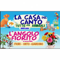 La Casa Del Canto logo
