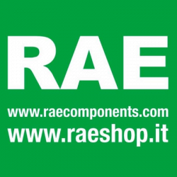 R.A.E. - Ricambi per Elettrodomestici logo