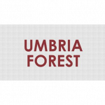 Umbria Forest Srl