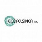 Ecofelsinea