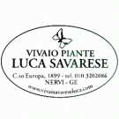 Vivaio Savarese Luca