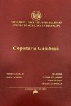 Copisteria Gambino