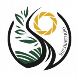 3mediastudio logo