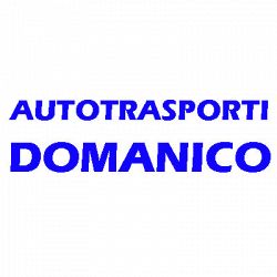 Autotrasporti Domanico logo