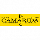 Camarida