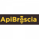 Api Brescia Soc. Coop.