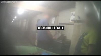 Inchiesta choc di Animal Equality in allevamento maiali in Germania