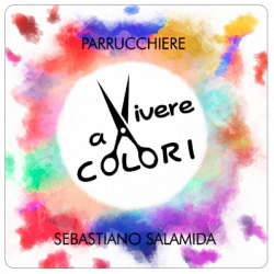 Vivere a Colori logo