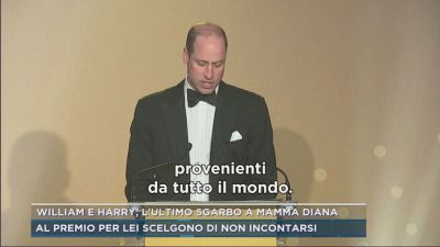 William e Harry, l'ultimo sgarbo a mamma Diana