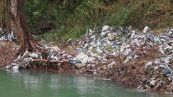 Sull'Appennino c'è una pattumiera galleggiante del Rio Rovigo
