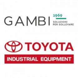 Gambi S.p.a. logo