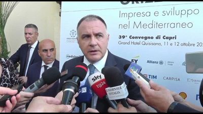 Stellantis, Orsini: "Chiedere altri incentivi mi sembra pazzia"