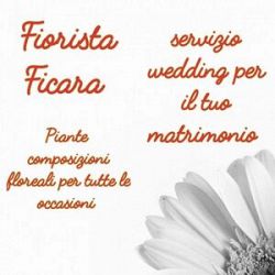 Fiorista Ficara logo