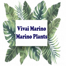Vivai Marino - Marino Plants