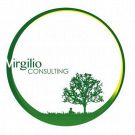 Virgilio Consulting Srl