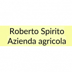 Roberto Spirito
