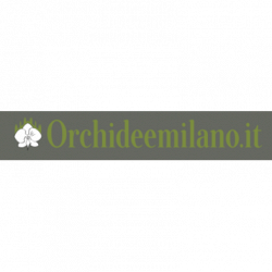 orchideemilano.it logo