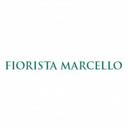 Fiorista e Onoranze funebri Marcello logo
