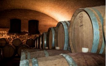 Azienda Agricola San Cassiano produzione vini