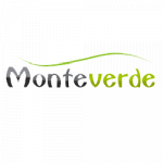 Impresa di Pulizie Monteverde