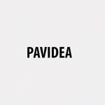 Pavidea