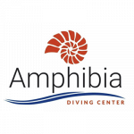 Diving Amphibia