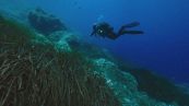 La ricerca disperata dei sub nella grotta, esperti finlandesi in azione