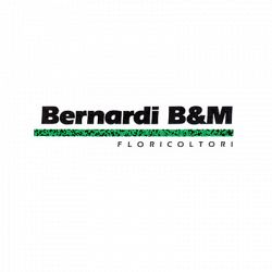 Bernardi B. & M. di Vidotto Bruna & C. logo