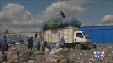 Lotta alla plastica per salvare il pianeta
