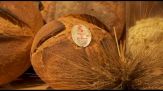 Oropan presenta a Cibus il pane con filiera sostenibile certificata