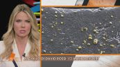 David Rossi: il giallo delle particelle d'oro