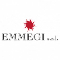 Emmegi logo