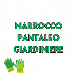 Linea Verde di Marrocco Pantaleo logo