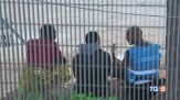 Naufragio Lampedusa, si cercano i dispersi