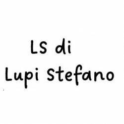 LS di Stefano Lupi logo