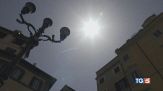 Fuga verso le vacanze. Non li abbandoniamo!