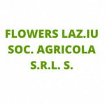 Vivaio Flowers Laz.Iu Società Agricola