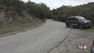 L'auto nella scarpata Morti quattro ragazzi
