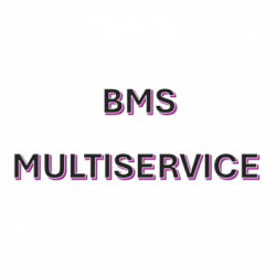 Bms Multiservice logo