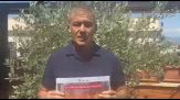 Emergenza incendi, Pecoraro Scanio: "Il Governo fermi gli incendiari"