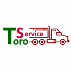 Toro Service logo