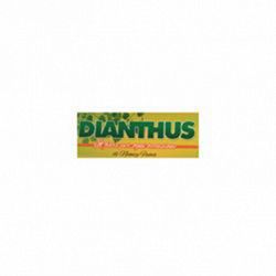Fiori e Piante Dianthus logo