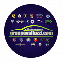 GruppoValluzzi logo