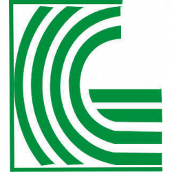 R.G. Centro Servizi di Grande Raffaella logo