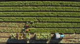 Agricoltura e crisi geopolitiche: uno scenario ridisegnato