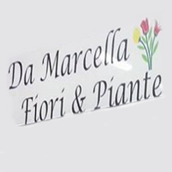 Da Marcella Fiori E Piante logo