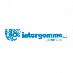Intergomma Spa logo