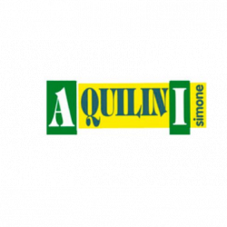 Ufficio ACI Castelnuovo - Aquilini Simone Autoscuole Assicurazioni Pratiche Auto logo