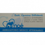Veterinario Carmine Dr. Diffidenti